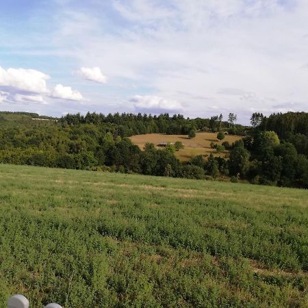 Ferienwohnung Altmaier - Ferien Auf Dem Lande Griebelschied Eksteriør bilde