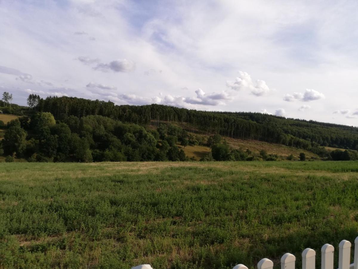 Ferienwohnung Altmaier - Ferien Auf Dem Lande Griebelschied Eksteriør bilde